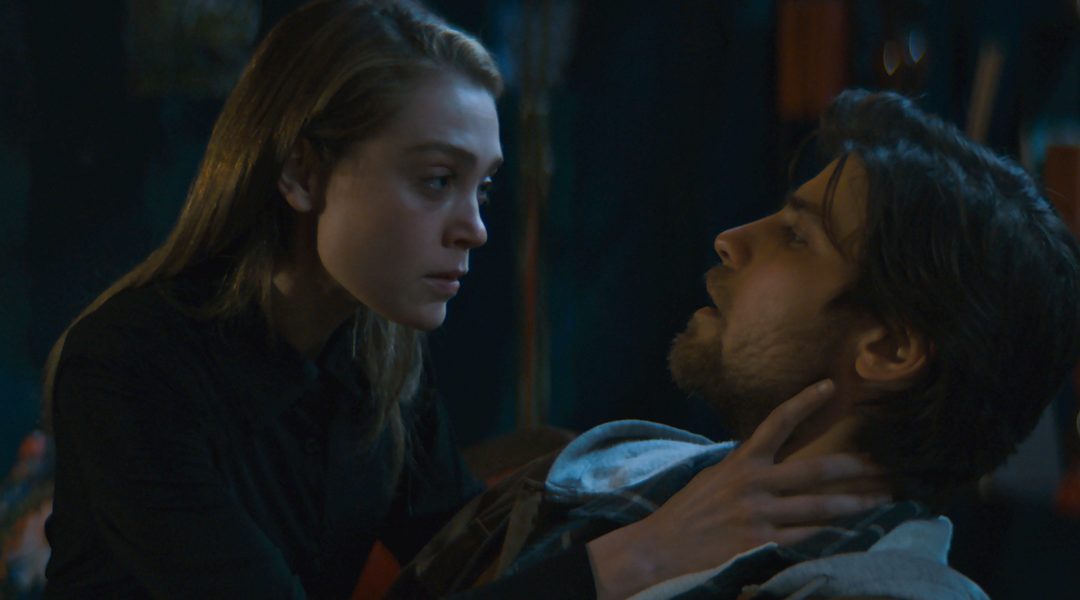 Movie Reviews (Toronto International Film Festival): Kicking Blood and Mlungu Wam (Good Madam)