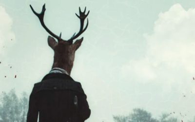 Roles Of Man And Beast Are Reversed In ‘Anonymous Animals’