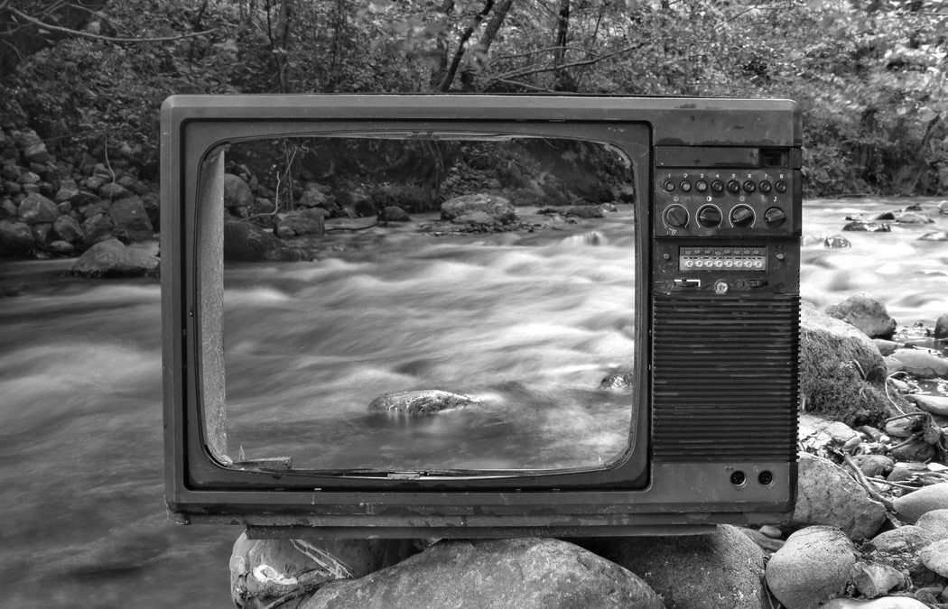 Step By Step Guide On Writing An Essay On A Film