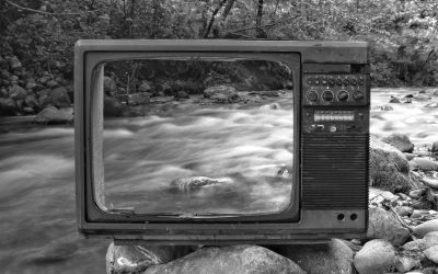 Step By Step Guide On Writing An Essay On A Film