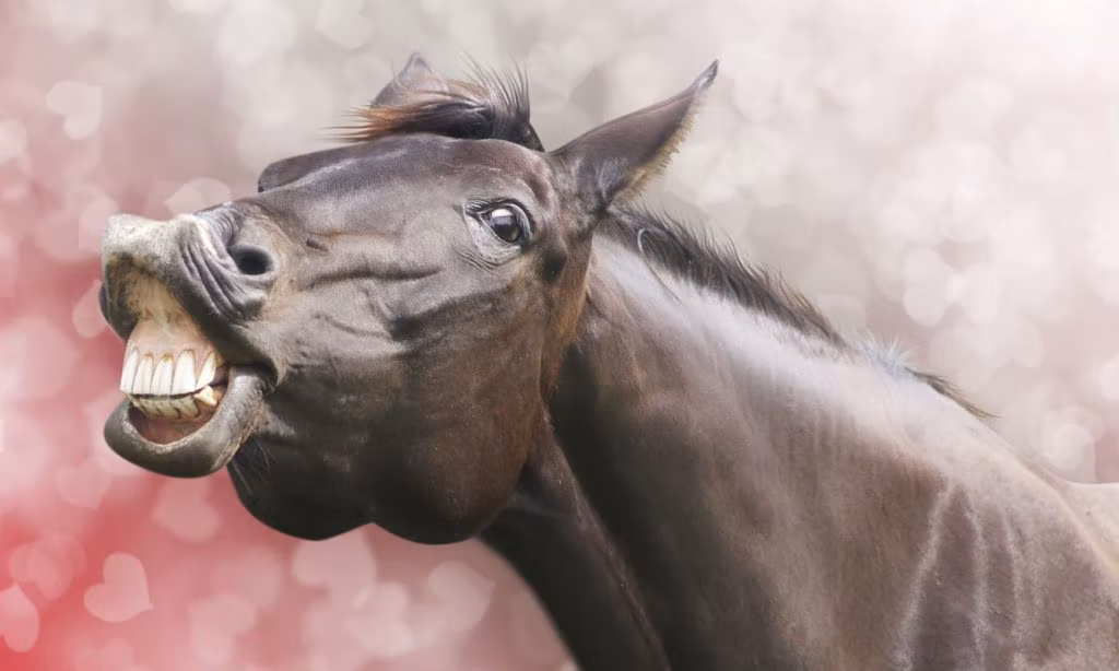 Horror Movies And Series Featuring Horses