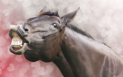 Horror Movies And Series Featuring Horses