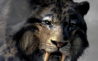 ‘Scavengers of the Sun: Children of the Crescent Moon’ Book Two Coming To Amazon