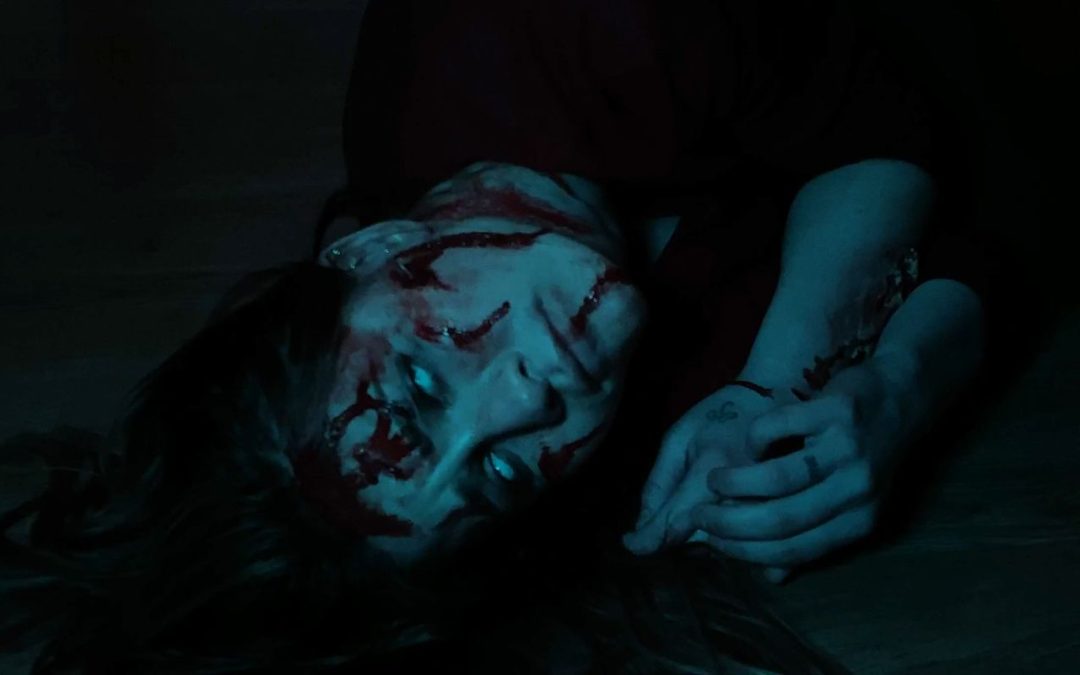 This May Something Sinister Awaits An Author In ‘Faye’ (Trailer)