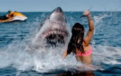 Dive Into The New Trailer For Survival Thriller ‘Shark Bait’