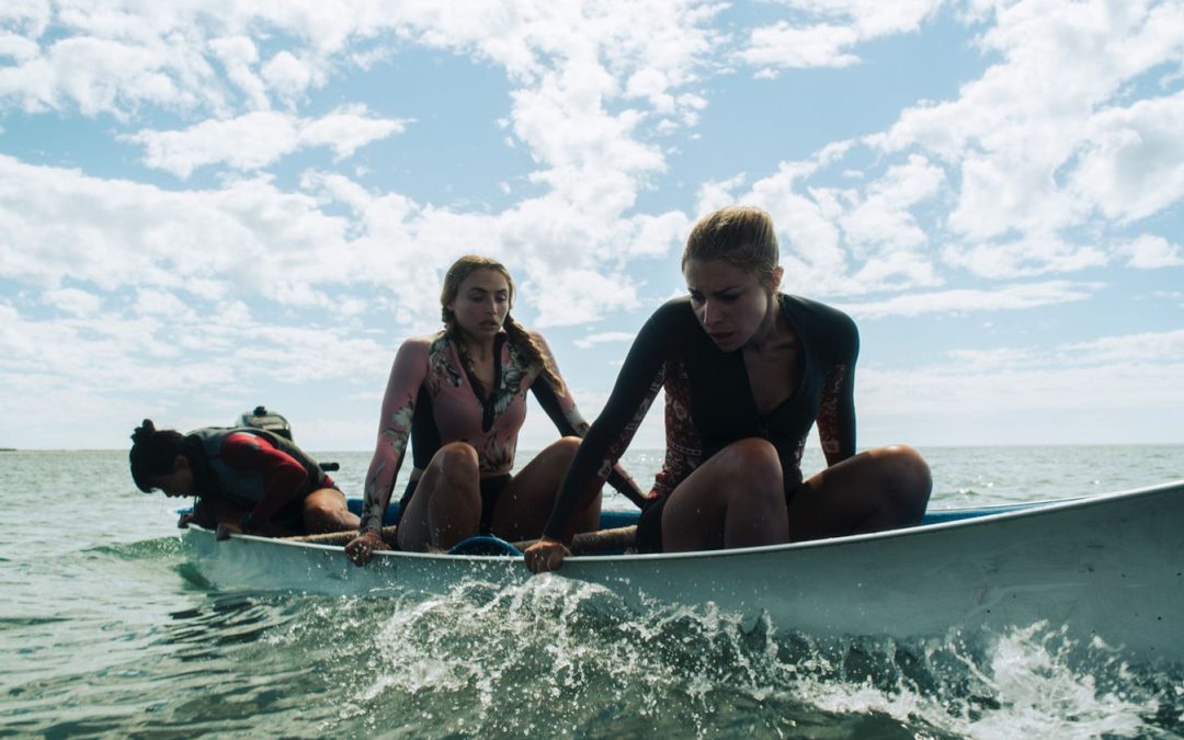 Friends Are Hunted By A Great White This Summer In Shudder’s ‘The Reef 2: Stalked’