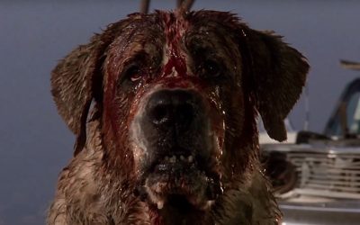 Stephen King Has Written A Sequel To His Rabid Dog Classic ‘Cujo’!