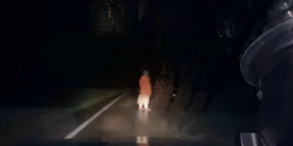 Movie Reviews: “Dashcam” and “Presence” (Panic Fest) 