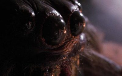 Happy Death Day’s Christopher Landon To Direct ‘Arachnophobia’ Remake