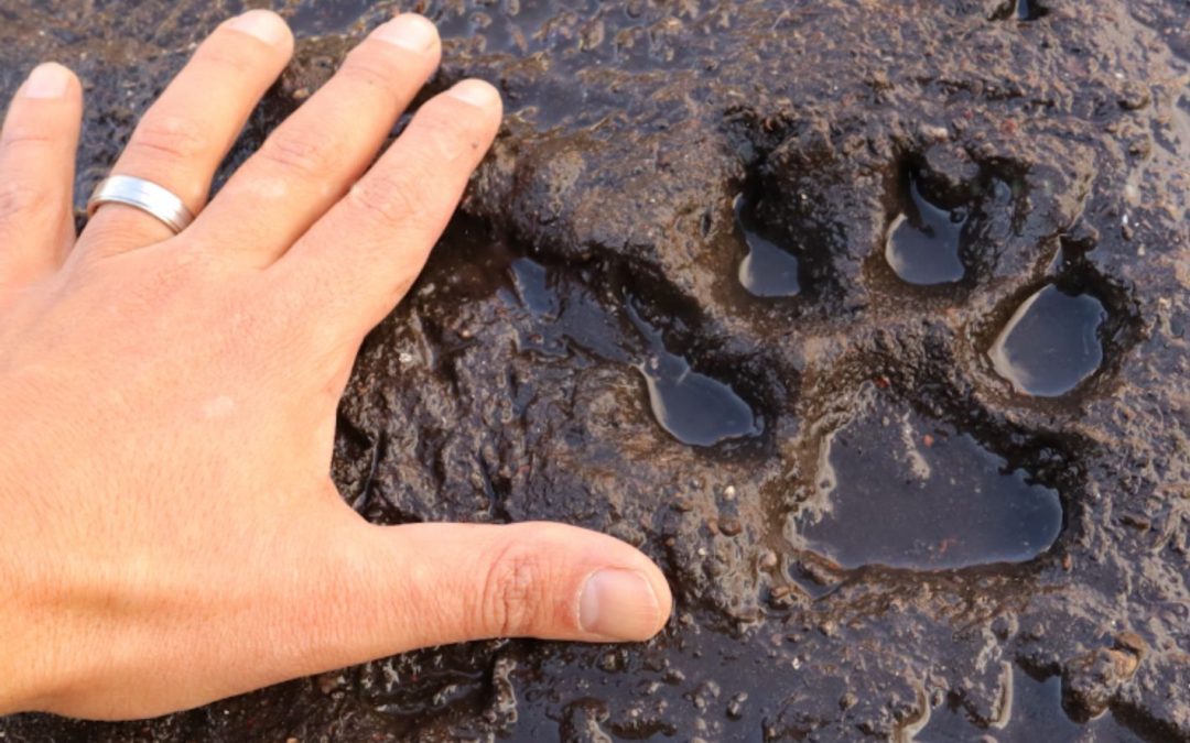 New Small Town Monsters Documentary ‘American Werewolves’ Is Out Today