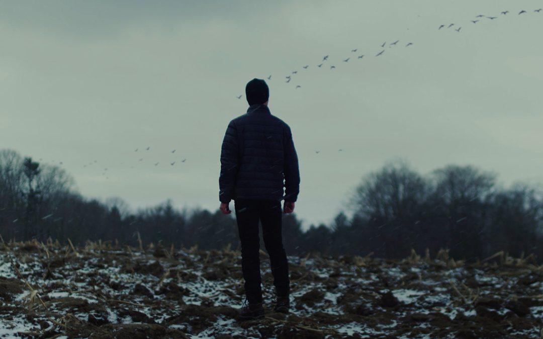 Movie Reviews: “Wolves” and “Dash” (Cinequest)