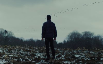 Movie Reviews: “Wolves” and “Dash” (Cinequest)