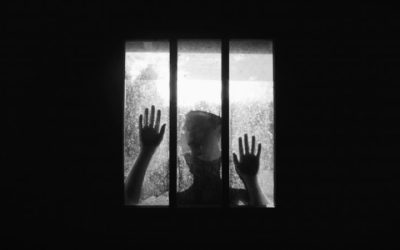 Horror-Comedy ‘Greywood’s Plot! Debuts On Digital This Week