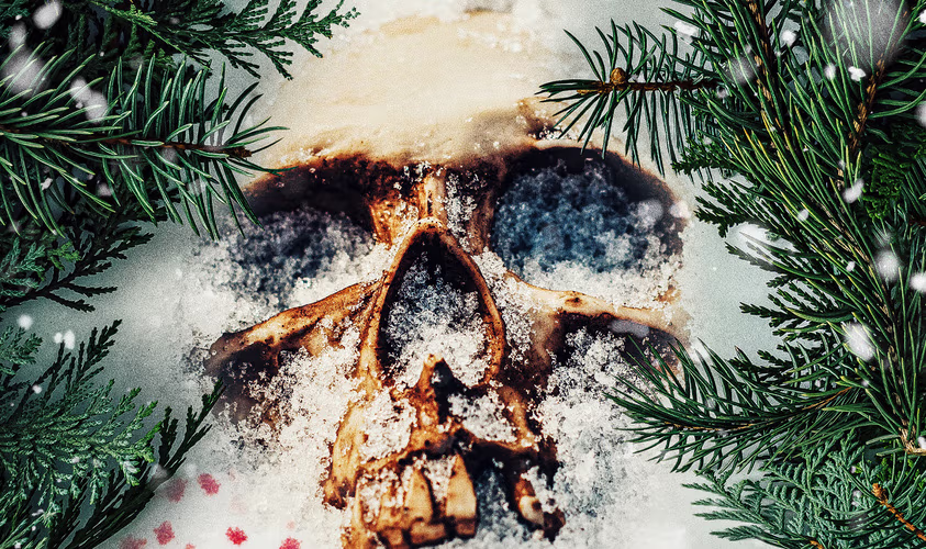 Christmas Horror 'The Killing Tree' Gifted With New Red Band Trailer