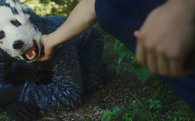 Film Review: Good Boy (Beyond Fest)