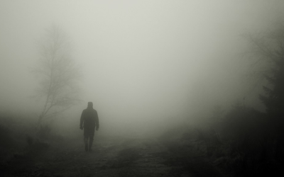 The Horror Genre: The Psychology Behind Why We Love Horror Movies