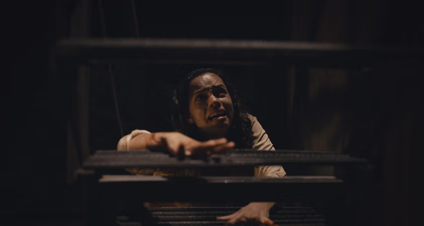 "The Scariest Film Of The Year," 'Barbarian' Is Now Out On Digital!