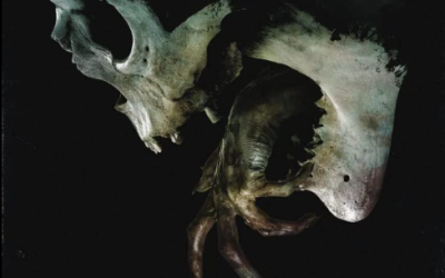 Deadites Are Back In The First Image From ‘Evil Dead Rise’