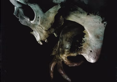 Deadites Are Back In The First Image From 'Evil Dead Rise'