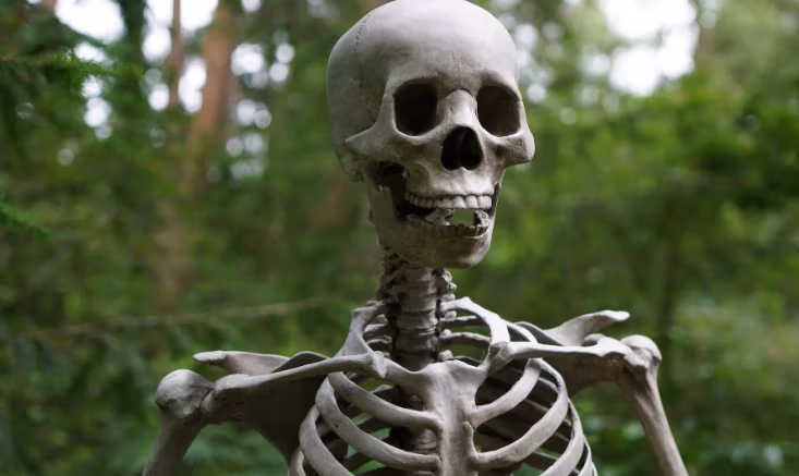 7 Most Memorable Horror Movie Villains
