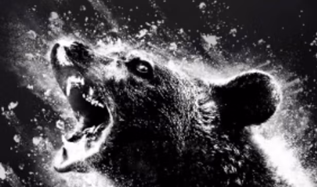 True Story Inspired Movie 'Cocaine Bear' Lets Out A Roar On New Poster