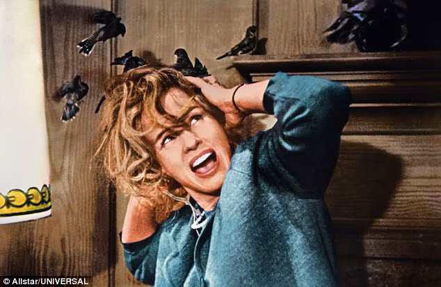 'The Birds' Remake Reportedly Lands 'Avengers' Star As Leading Lady