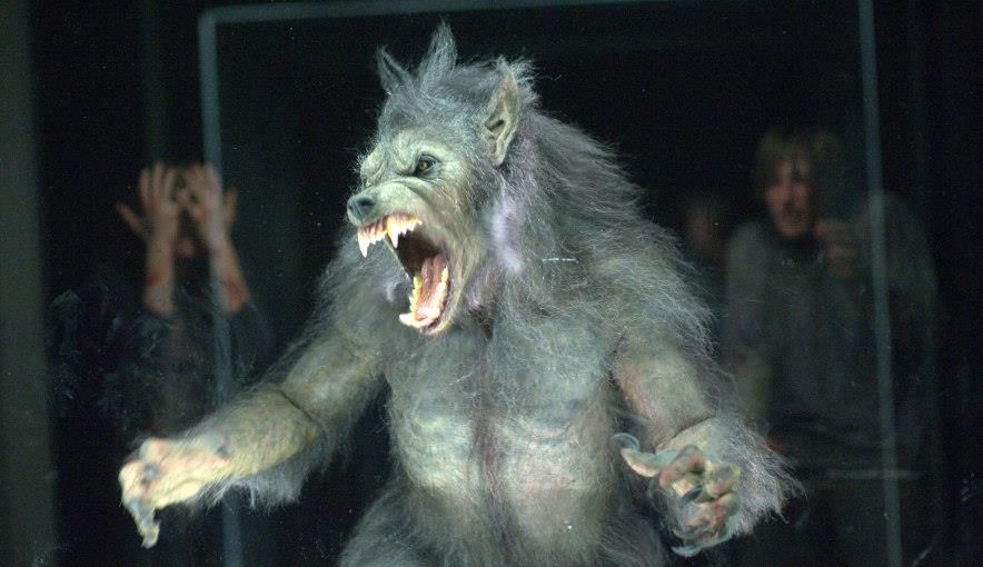 cabin in the woods (1)