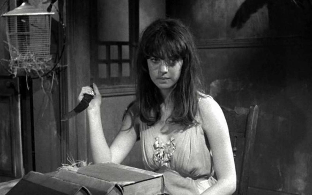 ‘Spider Baby’ Remake Starring Original Actress Wraps Filming