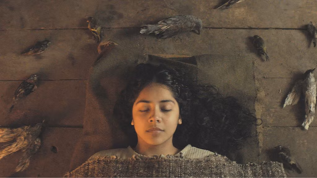 Film Reviews: SORCERY and MY ANIMAL (Sundance Film Festival)