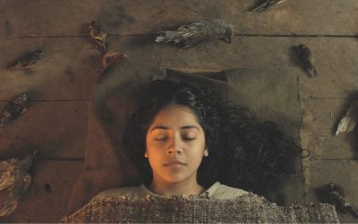 Film Reviews: SORCERY and MY ANIMAL (Sundance Film Festival)