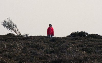 Haunting First Trailer For ‘Enys Men’ Makes Its Debut