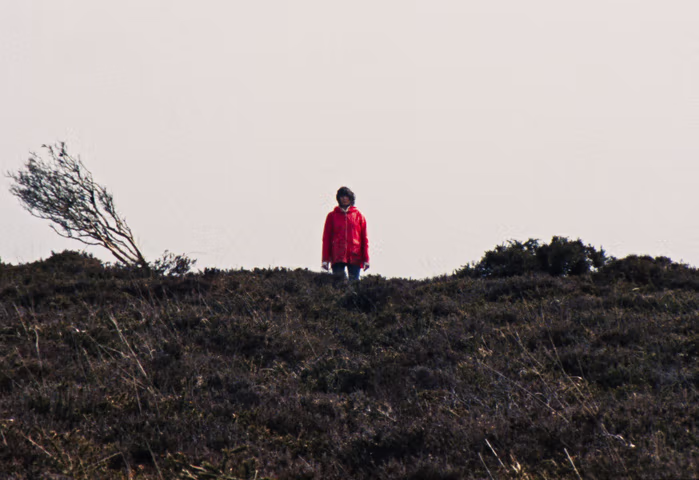 Haunting First Trailer For 'Enys Men' Makes Its Debut