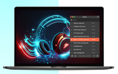 An Introductory Guide to Understanding the MKV Format
