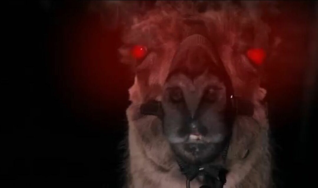 From The Creators Of Llamageddon Comes ‘Alpacalypse’