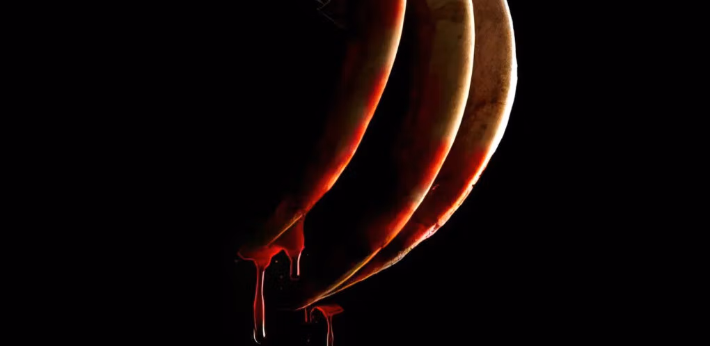 Killer Sloth Horror-Comedy 'Slotherhouse' Slashing Its Way Into Theaters