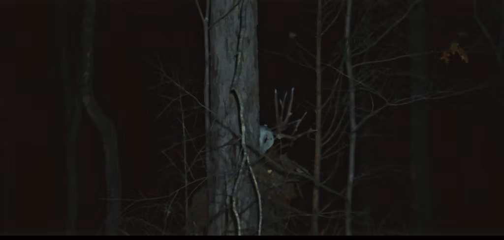 'The Wendigo' Conjures A Trailer And Release Date
