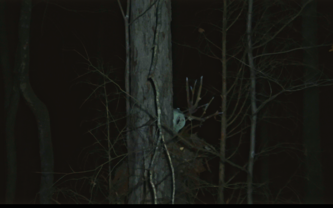 ‘The Wendigo’ Conjures A Trailer And Release Date