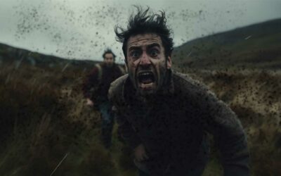 Scottish Novelist Turning Viral Tweet About “Midges” Into A Horror Movie