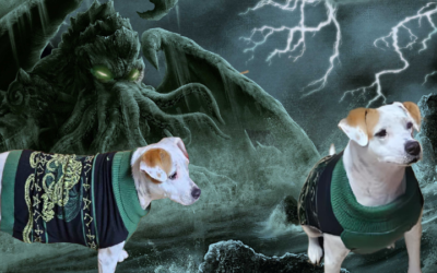 Review: My Dog Gets Spooky With Items From HalloweenCostumes.Com
