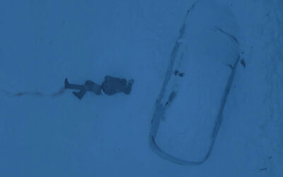 Spoiler-Free Reviews: COLD MEAT and THE DIVE (Pigeon Shrine FrightFest)