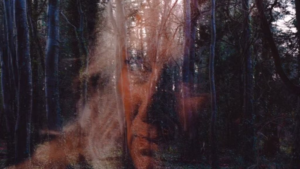 Spoiler-Free Film Reviews: ALL YOU NEED IS DEATH and BOOGER (Brooklyn Horror Film Festival)