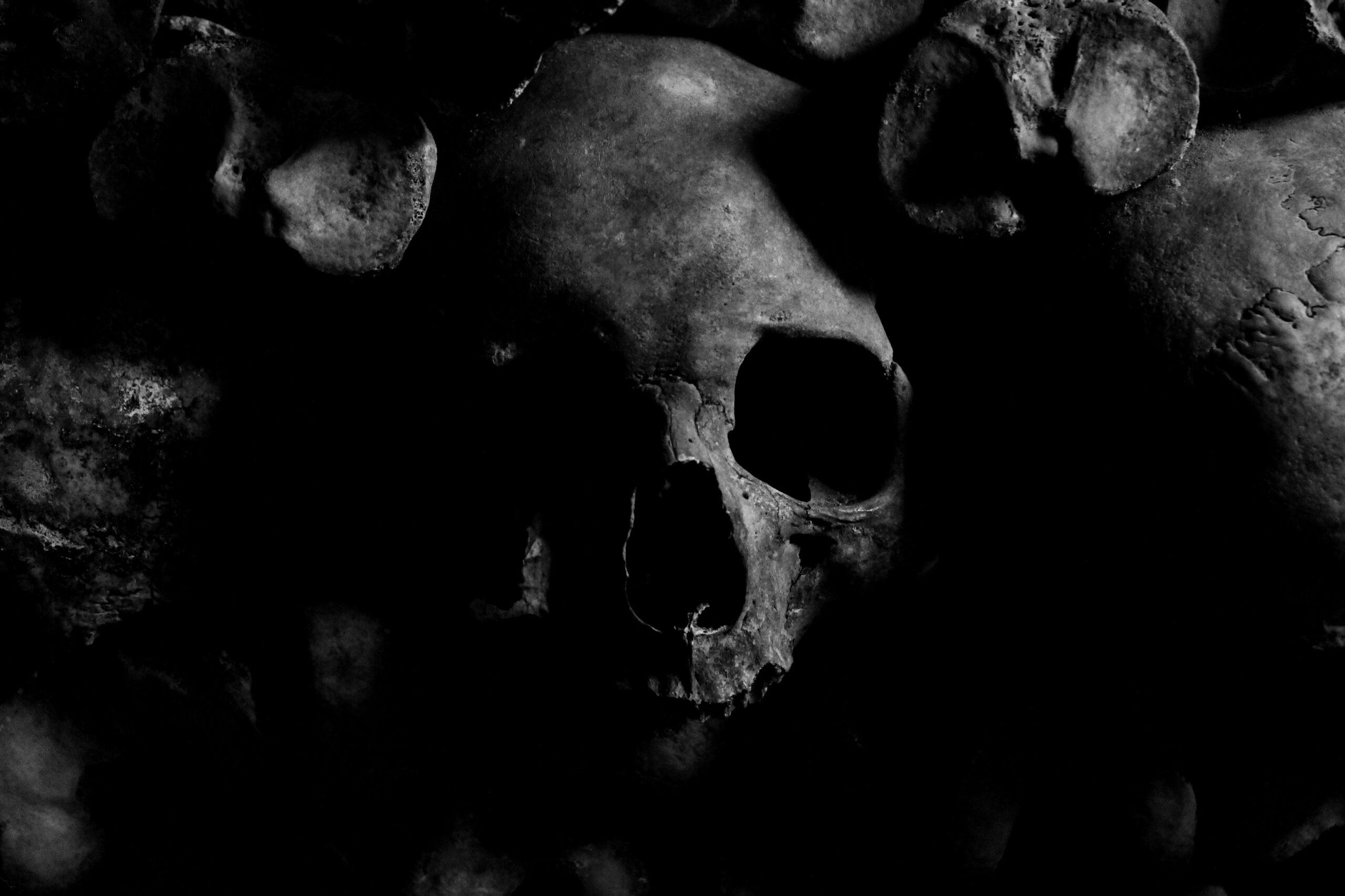skulls