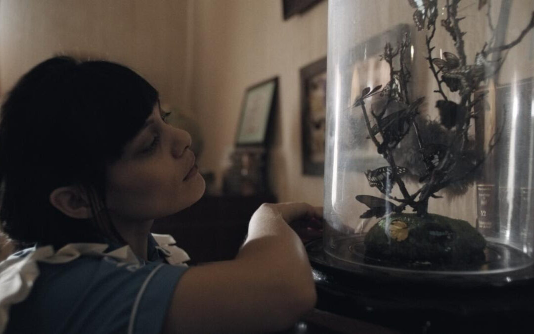 A Woman Discovers Horrific Truths This December In The Movie ‘Peacock’