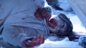 Blood & Snow