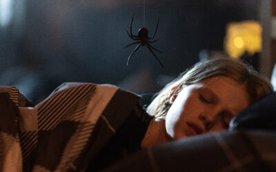 Arachnophobia-Inducing Sci-Fi Horror ‘Sting’ Crawling Your Way