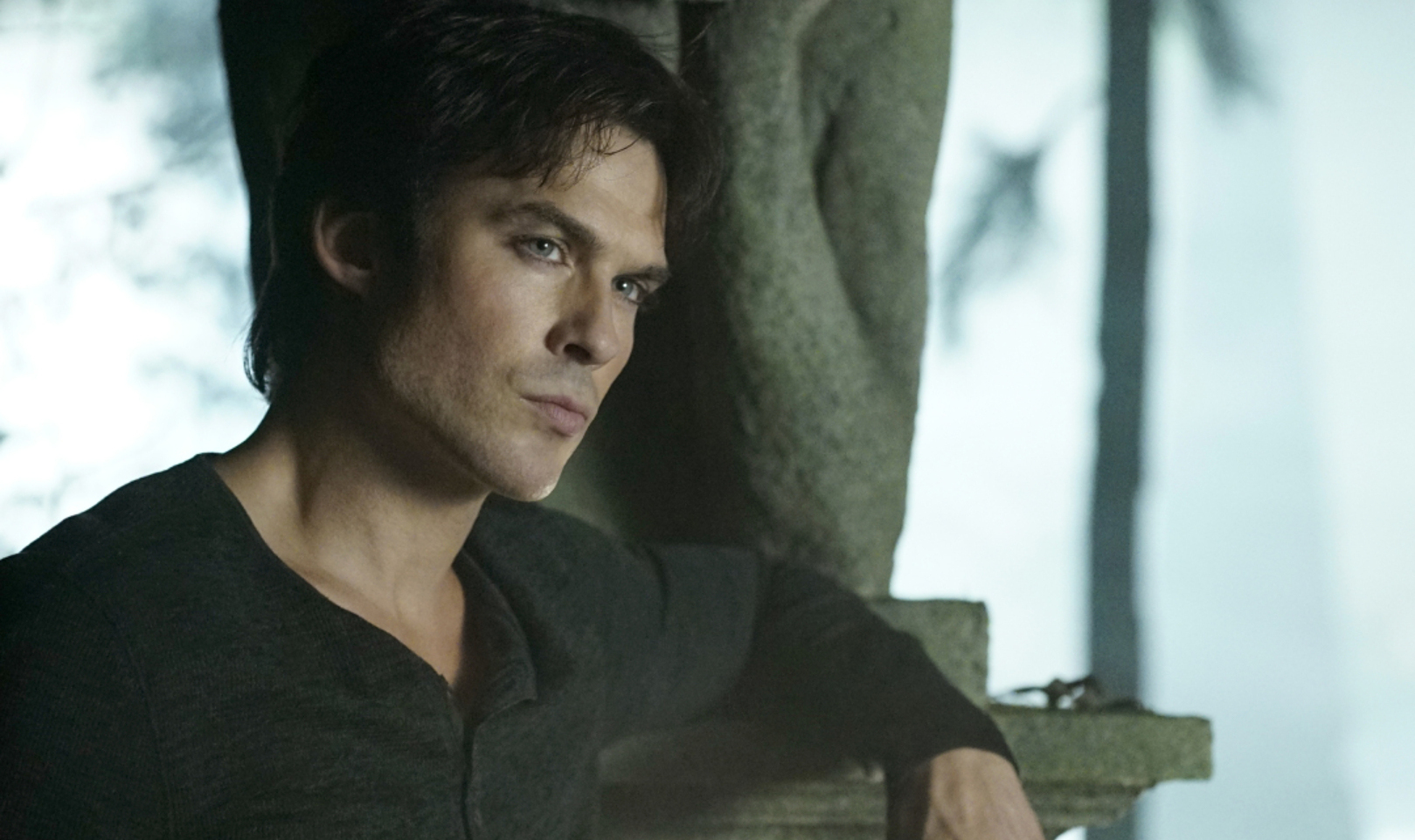 ian somerhalder vampire diaries