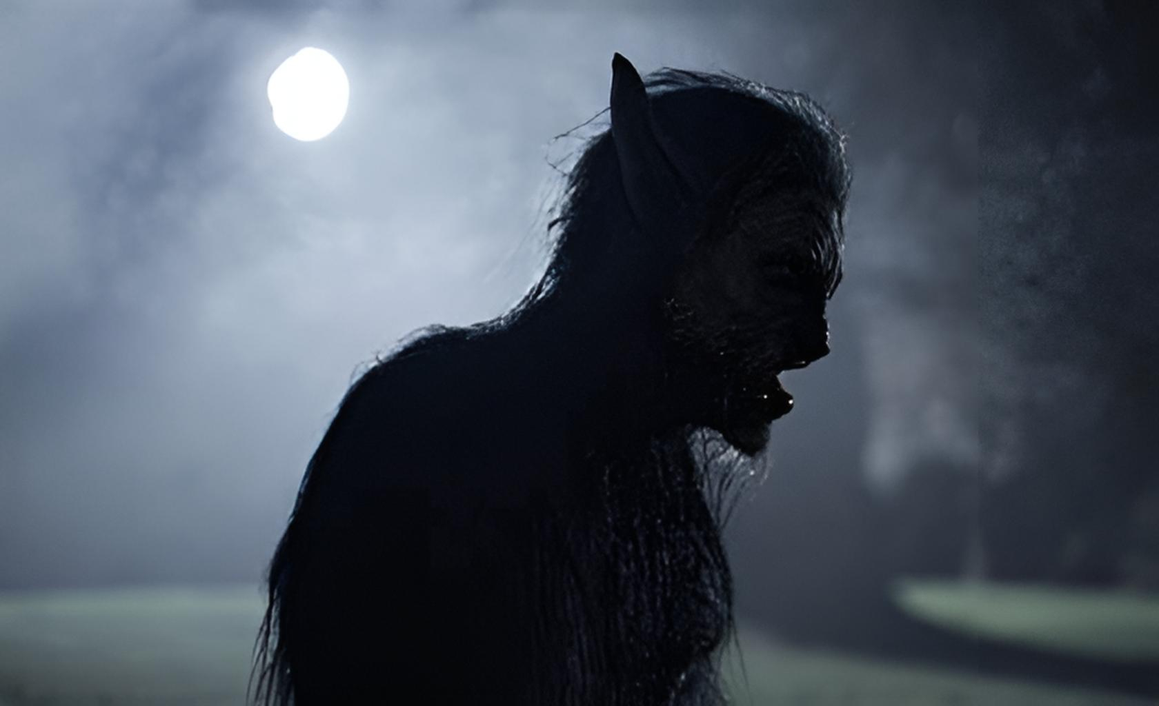 Wolf Night
