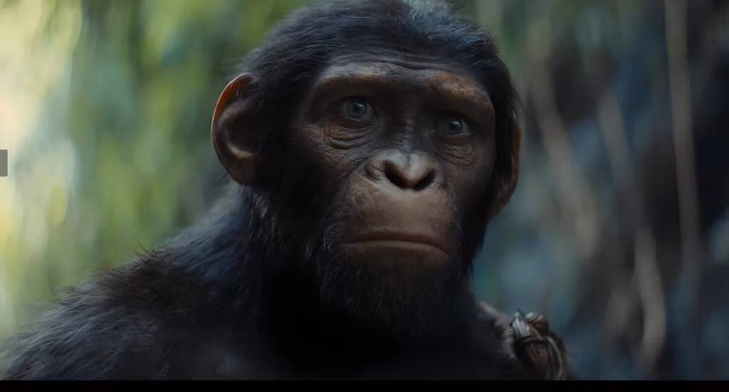 'Kingdom of the Planet of the Apes' Swings into Theaters This May