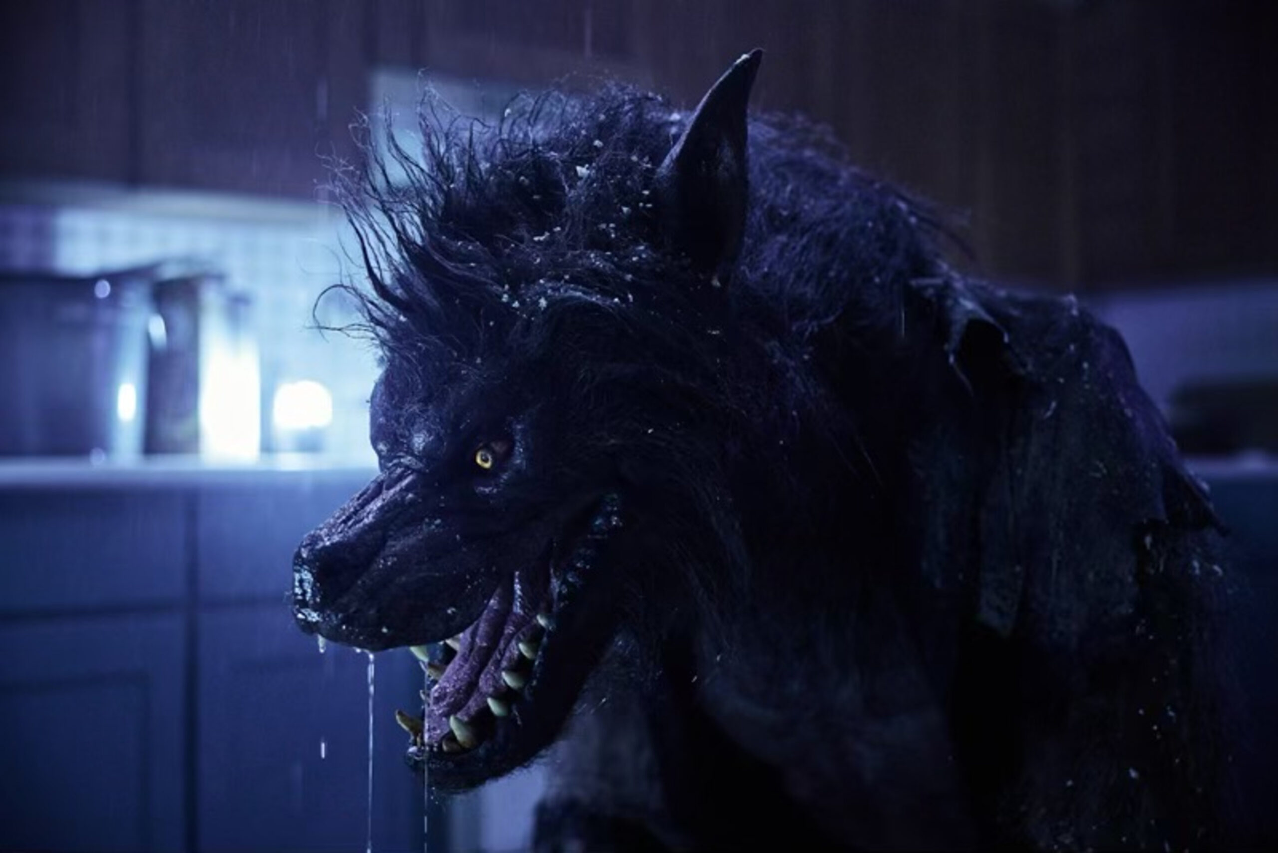 Werewolves starring frank grillo