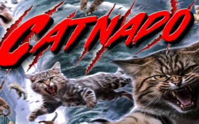 Brace Yourself the Catnado Trailer Has Just Made Landfall!